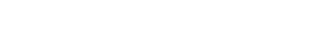 Pioneering sustainable transportation solutions Industry overview